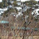 소망메디텍 이미지