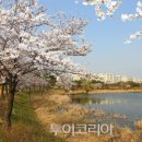 수원-1820 Daum카페