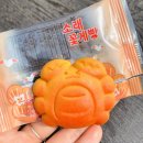 장도포대지 | 인천어시장 활기넘치는 소래포구 종합어시장 장도포대지 소래철교