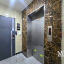 강남-255 이미지