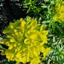 석지자원 이미지