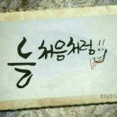 천내 Daum카페