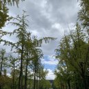 그림책 생태놀이 ‘가을 바람 솔솔솔’ | 가을바람 힐링산책, 광진나들이 모바일 스탬프투어로 즐거운 동네 여행