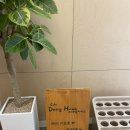 댕하우스 애견미용실 이미지