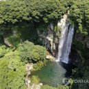 강정동-60 이미지