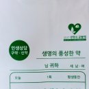 신대원약국 Daum카페