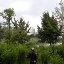 모롱지작은도서관 이미지