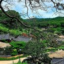 유산공인중개사사무소 이미지