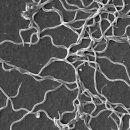 자연동물병원 이미지