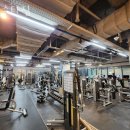 헬스 스타짐 이미지