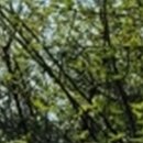 더위드치과의원 이미지