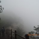 단양마늘만두 이미지