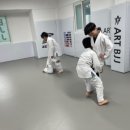 아트 주짓수 레슬링 이미지