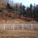 서유1호 이미지