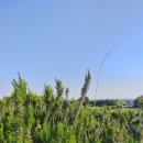 마일농장 이미지