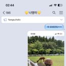 법환마을회관 이미지