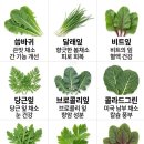 풀떼기
