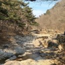 삼랑진커피(sa.m.r.a.n.g.j.i.n. coffee) 이미지