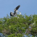 고대안경 이미지