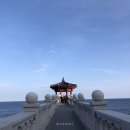 개인택시(웅치) | 속초여행 당일치기 코스 ❤️ 옛날수제비, 중앙시장 먹방, 영금정, 외옹치해변, 옥경이네횟집