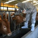 경상남도 축산연구소 이미지