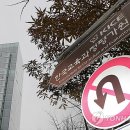 한국교육과정평가원 앞 이미지