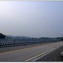 호수와 소나무 이미지