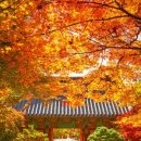 영주시 자전거공원 공공자전거대여소 이미지