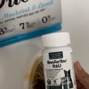 털찐강아지 | 아나포유 알앤유 찐 후기 / 강아지 영양제 / 강아지 피부 붉은기 해결