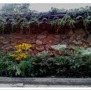 남사예담촌마을 이미지