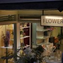 강남-149 이미지