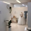 오남세탁 | 스웨드블랑 피팅 대여 후기 촬영용 가성비 웨딩드레스 레브탑드레스 대여