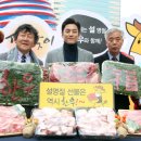 양지-3300 이미지