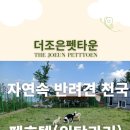 더조은펫 - 미추홀구 경인로 350-1 | 더조은펫