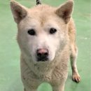 제천북로 이미지