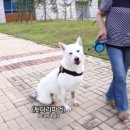 석연농장 스포츠동아