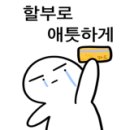 브라운슈가 네이버블로그