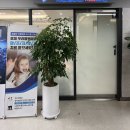 세븐치과기공소 | [인덕원 세븐플러스 치과] 안양 치아미백 전후 후기