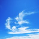 낙산콘도텔 이미지