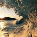 백제농장 이미지