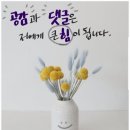 자기만의 색깔찾기 이미지