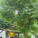 평창듀오애견수영장계곡펜션 이미지