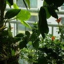 해군의집 이미지