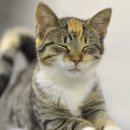 의정부종합동물병원 이미지