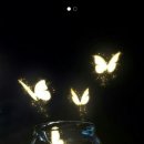 부자되세요