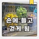 호랑이 | 부산 기념품 고민 끝, 해운대 호랑이 젤라떡 포장 후기