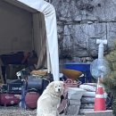 아모르 루시 이미지