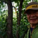 불당14로 이미지