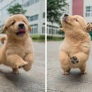 강변야식 이미지