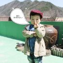 라제통문벚꽃길 이미지